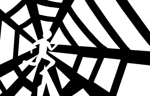 Spider and Web