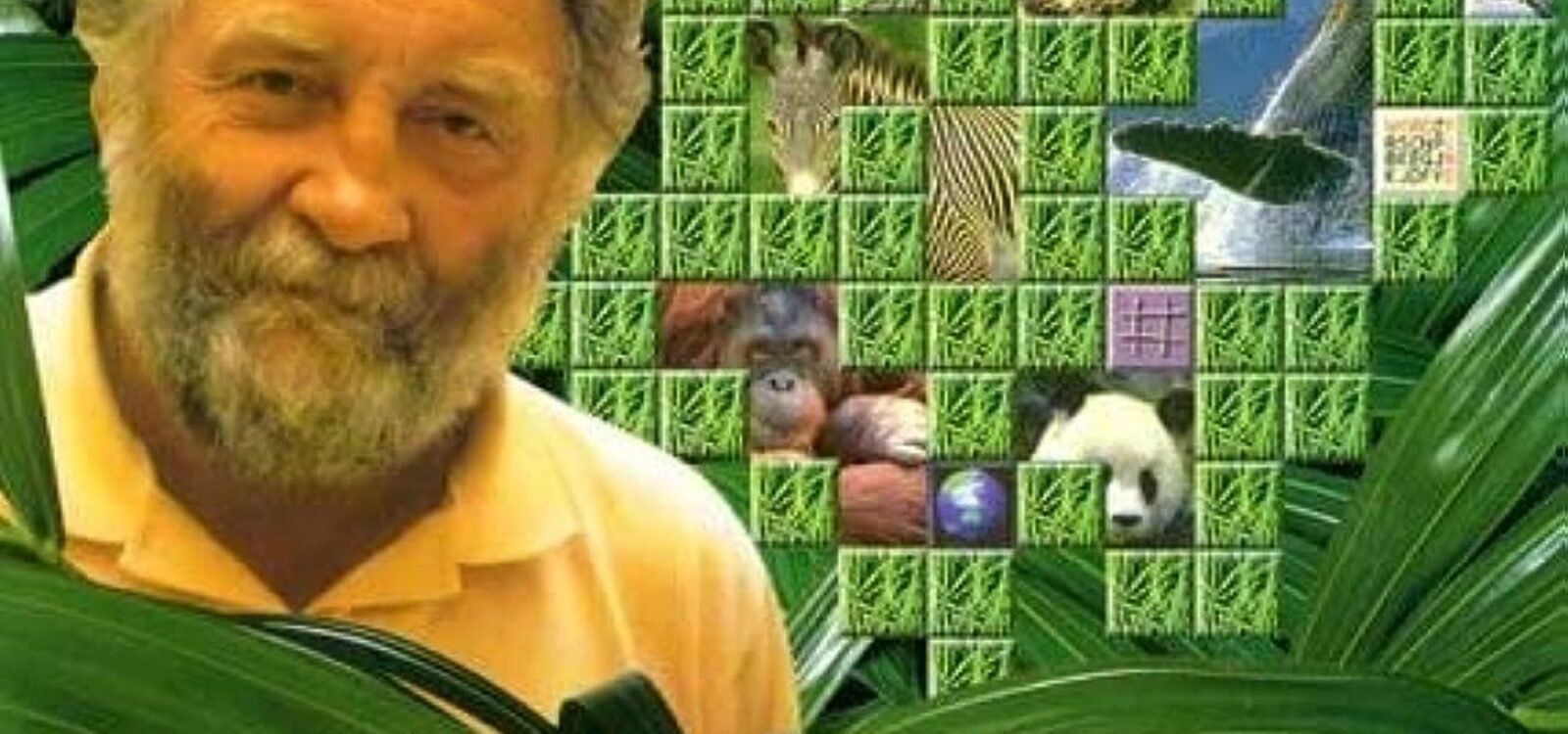 Discovering Endangered Wildlife