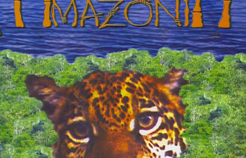 Lost in the Amazon
