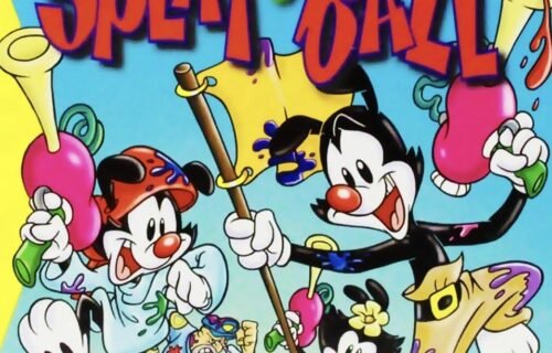 Animaniacs Splat Ball