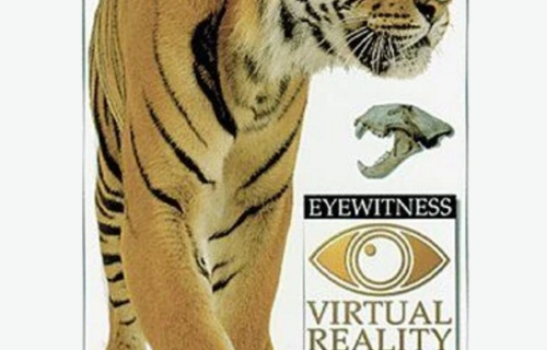 Eyewitness Virtual Reality: Cat