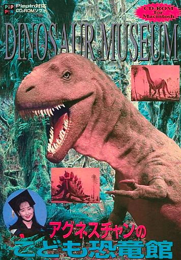 Dinosaur Museum
