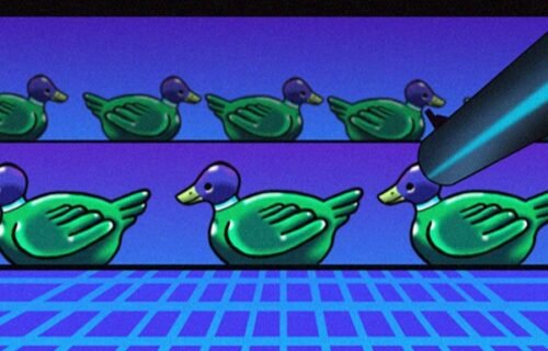Duck Shoot